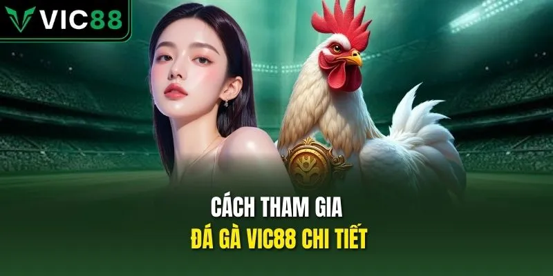Cách tham gia đá gà VIC88 chi tiết