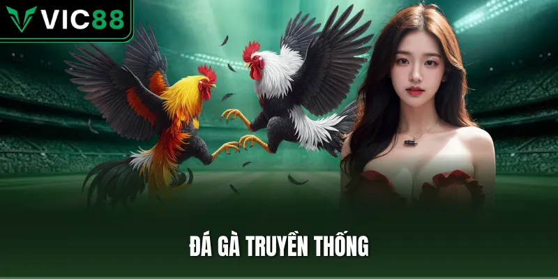 Đá gà truyền thống