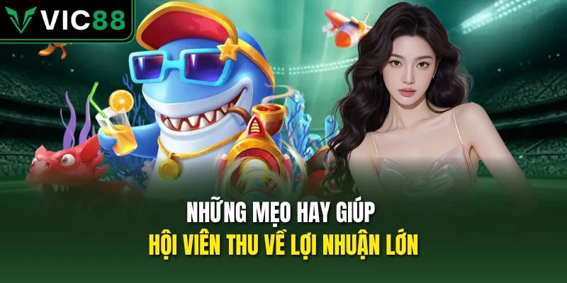 Những mẹo hay giúp hội viên thu về lợi nhuận lớn