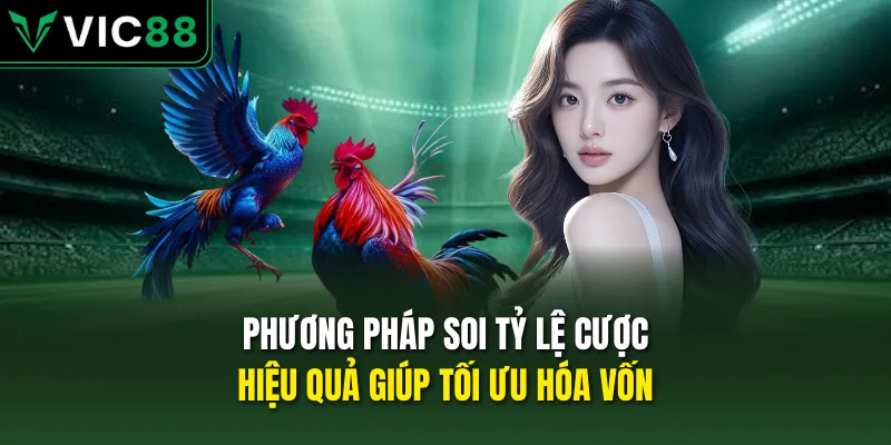 Phương pháp soi tỷ lệ cược hiệu quả giúp tối ưu hóa vốn