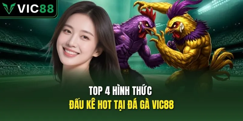 Top 4 hình thức đấu kê hot tại đá gà VIC88